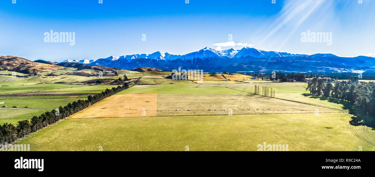 Springfield campagna Nuova Zelanda Foto Stock