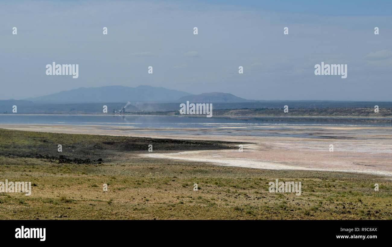 Un branco di fenicotteri rosa a Lake Magadi in Kenya Foto Stock