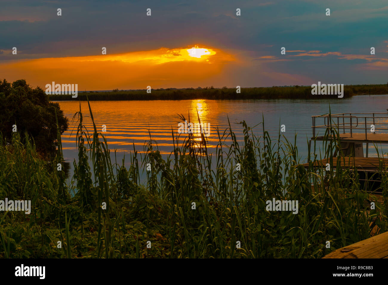 Golden Sunset al fiume Chobe, Botswana Foto Stock
