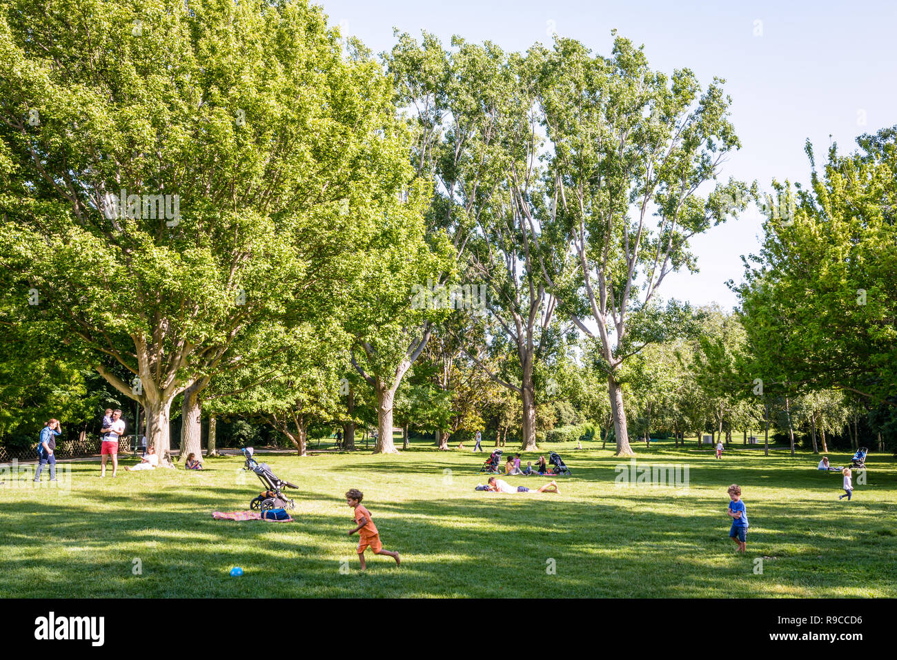 Ragazzi che giocano a palla, famiglie in appoggio all'ombra e la gente a prendere il sole sul prato nel Parco Borely a Marsiglia, in Francia alla fine di una giornata di sole. Foto Stock