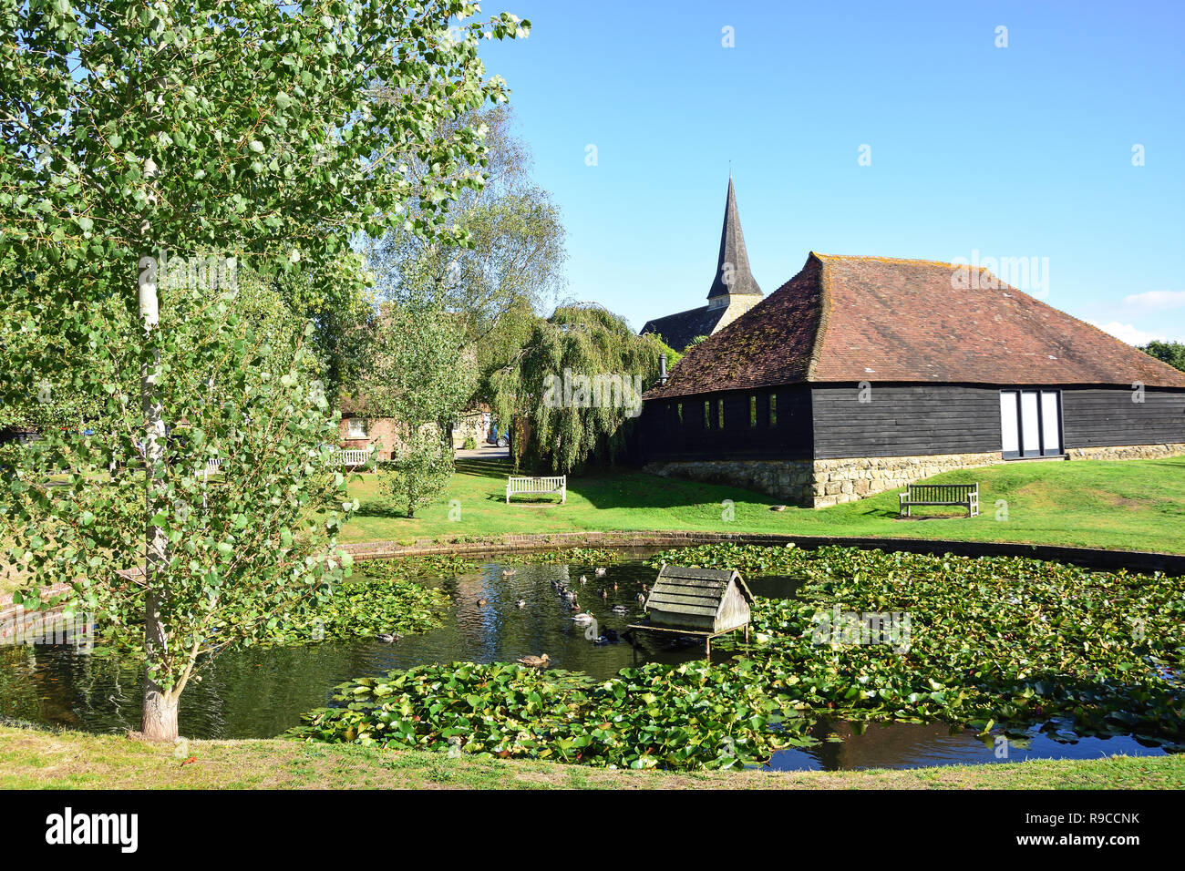 Laghetto, Wisborough Green, West Sussex, in Inghilterra, Regno Unito Foto Stock