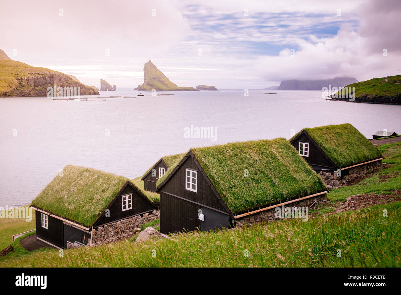 Case con erba sul tetto a Isole Faerøer, Europa Foto Stock