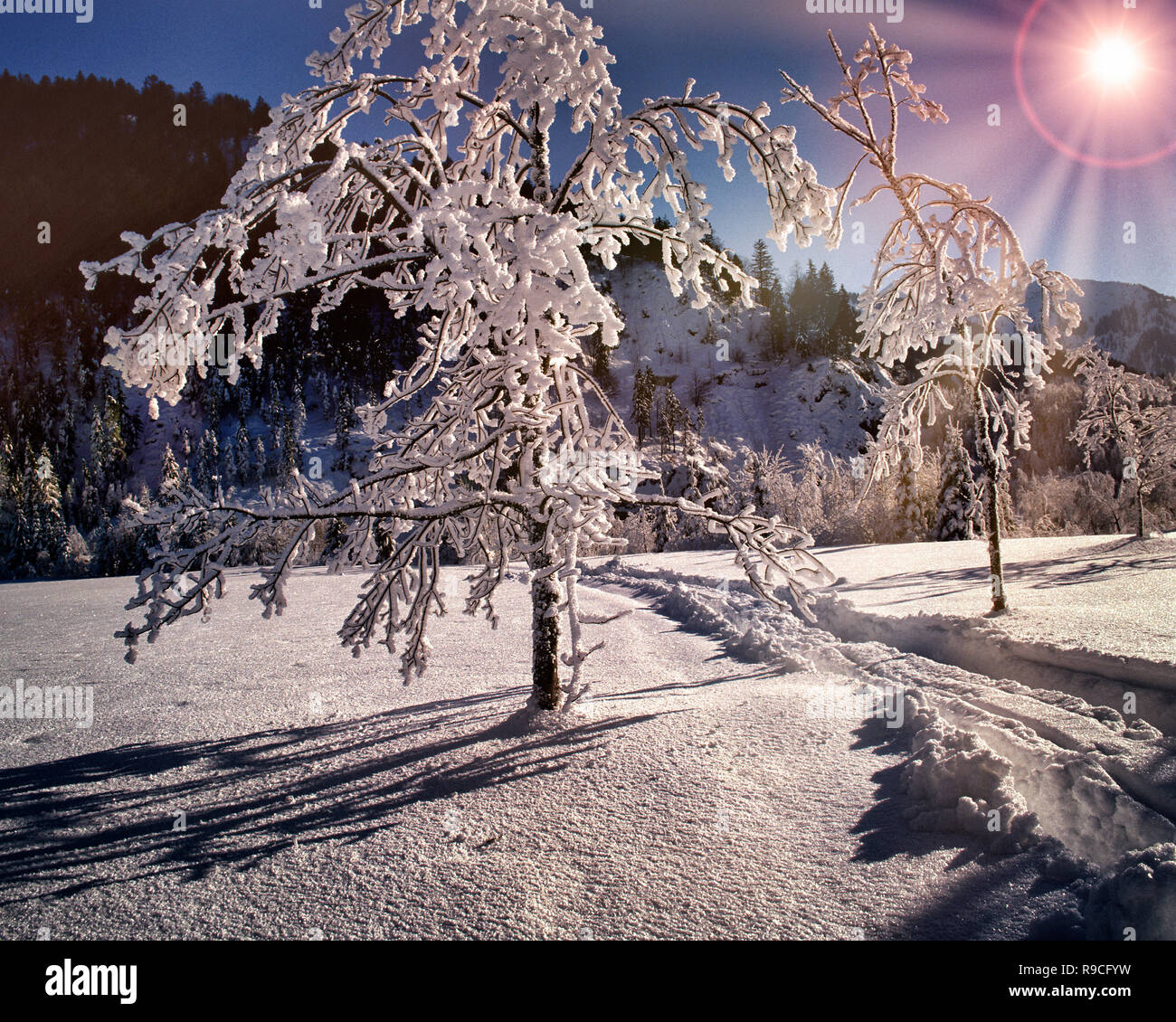DE - Baviera: scena invernale nei pressi di caduta Foto Stock