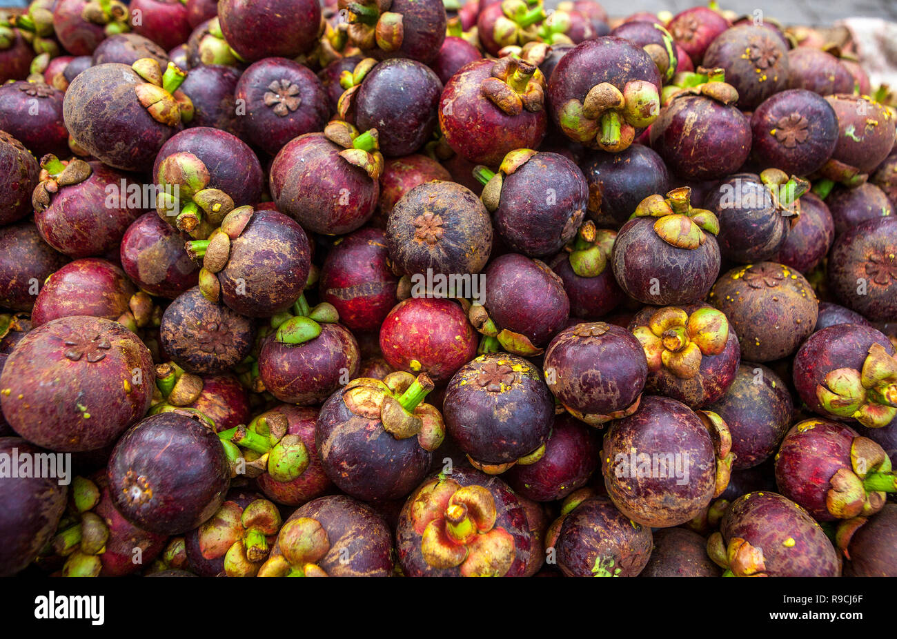 Mercato della frutta la vendita di pile di Viola Mangosteen, Garcinia mangostana. Foto Stock