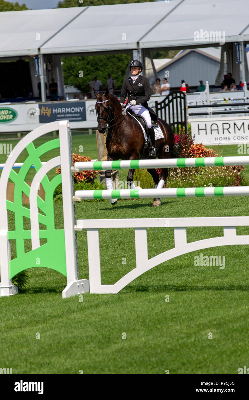 BRIDGEHAMPTON, NY - 26 agosto: atmosfera a Hampton Classic Horse Show motivi su agosto 26, 2018 in Bridgehampton, New York. (Foto di Steve Mack/S.D. Mack foto) Foto Stock