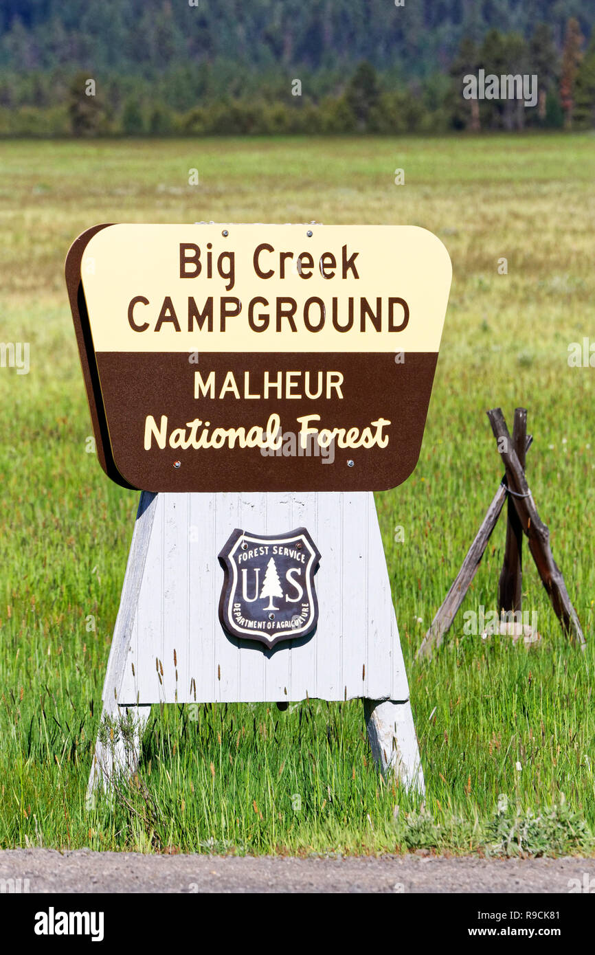 USFS 42,896.03739 U.S. Forest Service e il dipartimento dell'interno pubblico segno di campeggio, Big Creek Campeggio Malheur National Forest, Oregon, Stati Uniti d'America Foto Stock