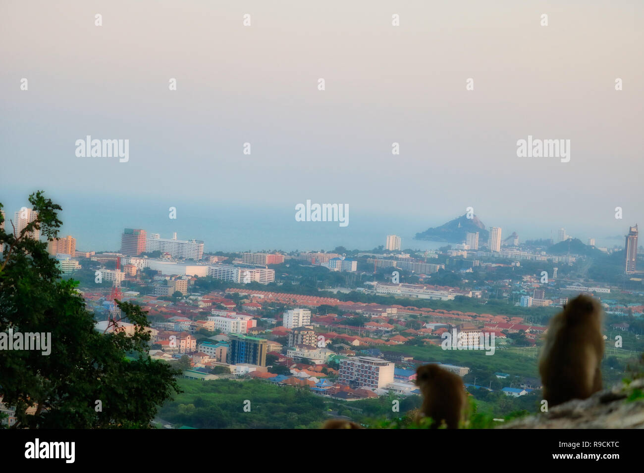 Questa unica immagine mostra le scimmie selvatiche al tramonto su roccia scimmia in Hua Hin in Thailandia Foto Stock