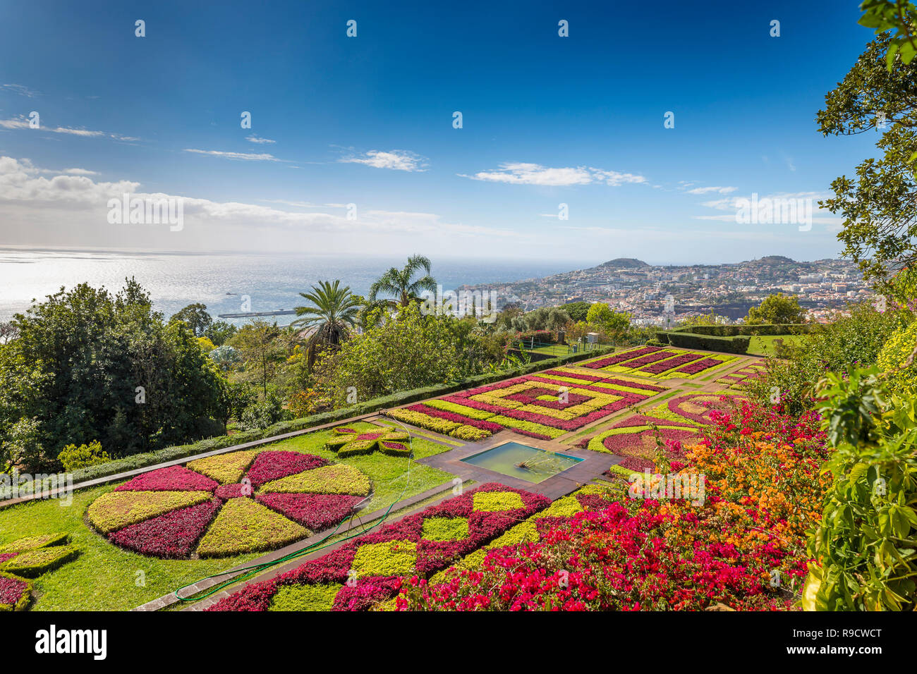 Giardino botanico di Funchal Madeira Foto Stock