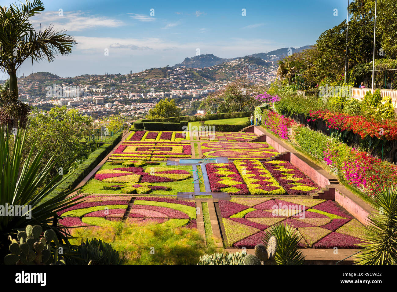Giardino botanico di Funchal Madeira Foto Stock