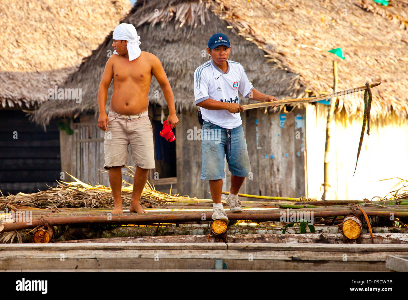 Catturato snake in Belen,Iquitos, Perù Foto Stock