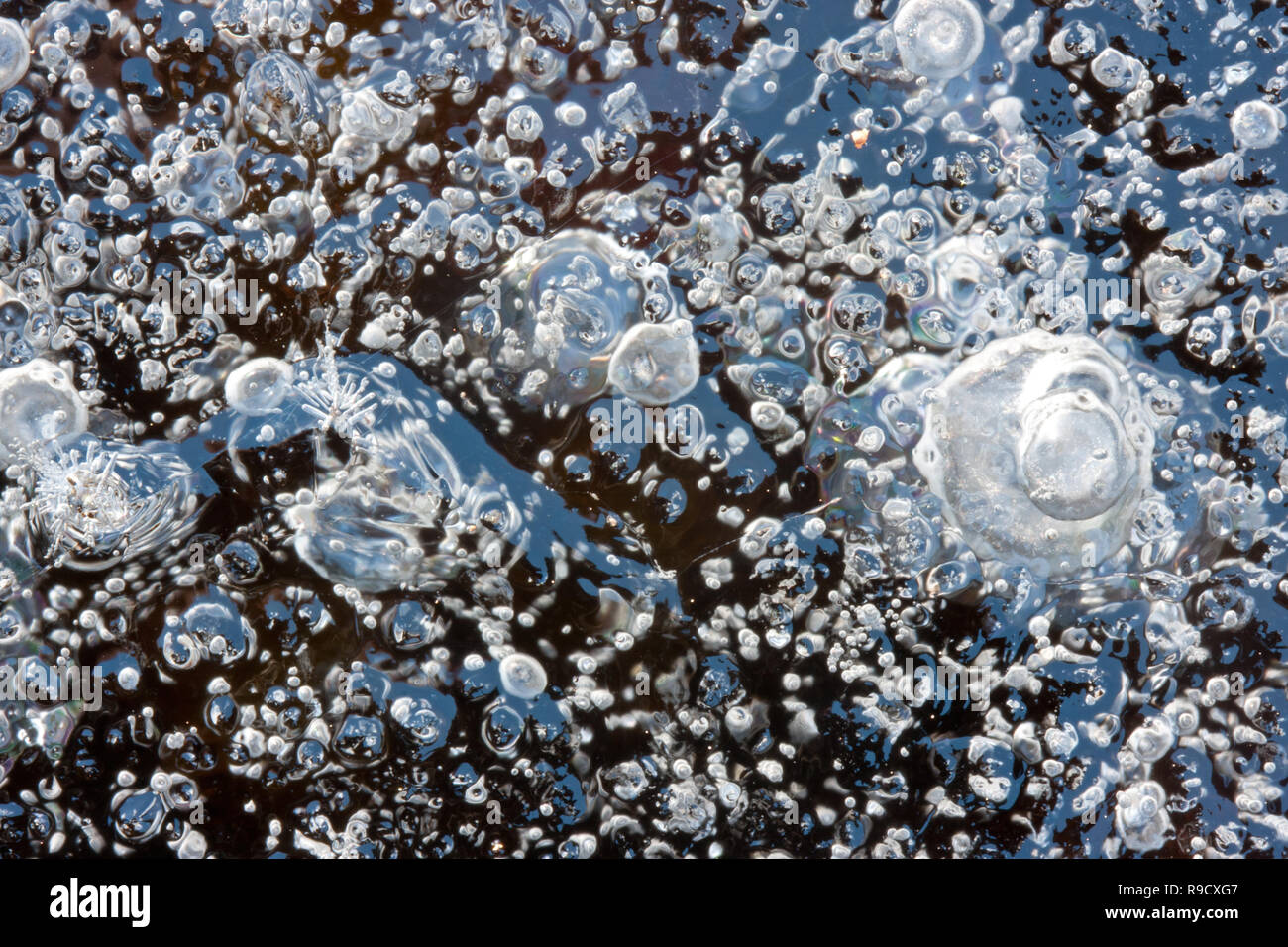 Le bolle di gas catturato in ghiaccio Foto Stock