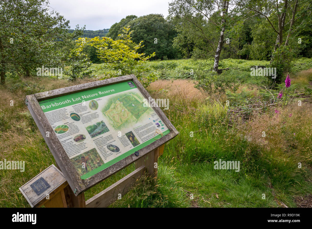 Lotto Barkbooth; Riserva naturale Information Board; Cumbria, Regno Unito Foto Stock