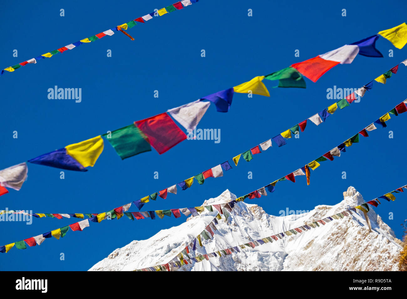 Bandiere di preghiera e il vertice di Manaslu, il mondo ottava più alta montagna, nel Nepal Himalaya Foto Stock