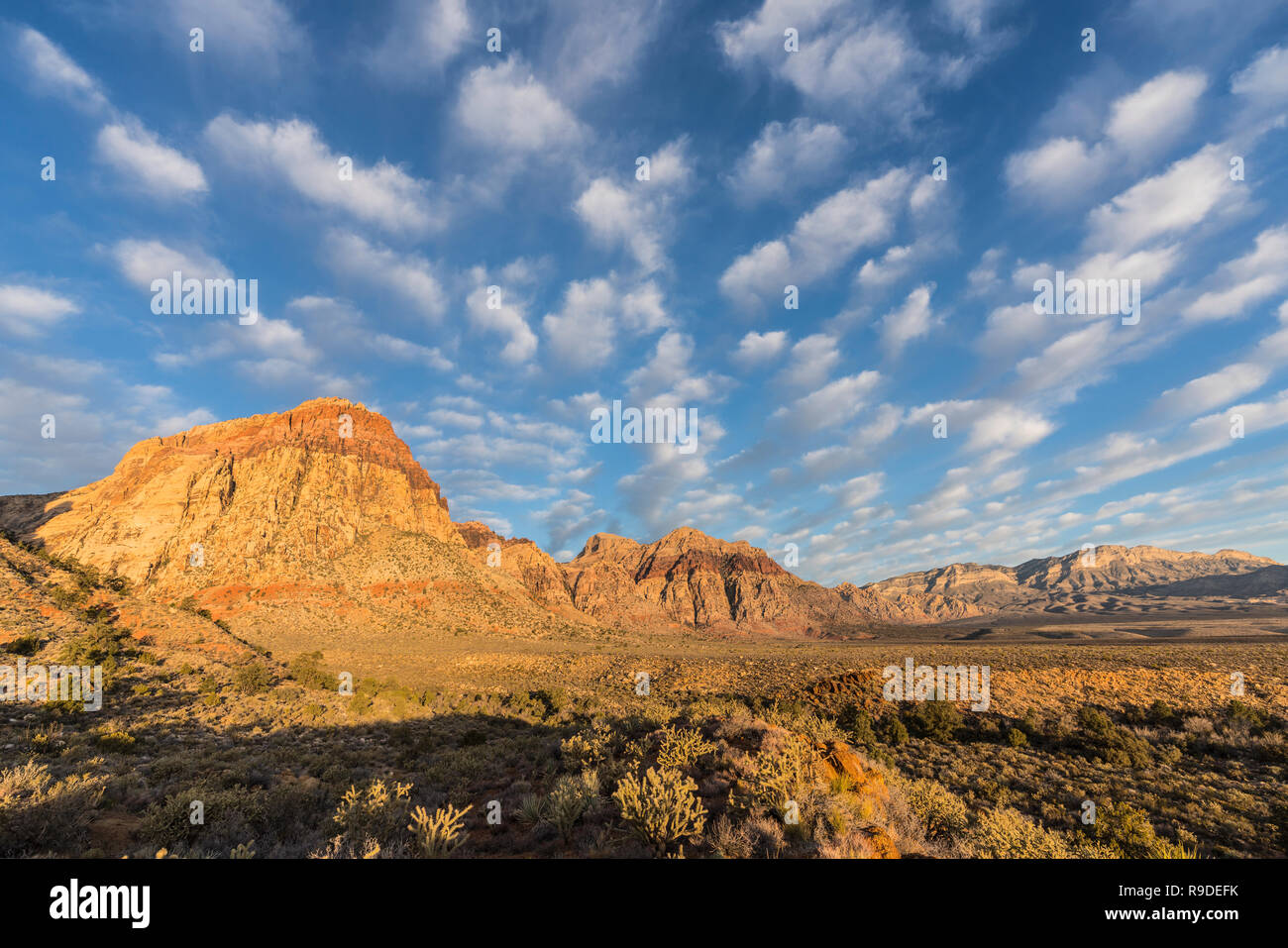 La mattina presto luce con poco nuvoloso cielo al Red Rock Canyon National Conservation Area. Una popolare area naturale 20 miglia dal Las Vegas, Nevada. Foto Stock