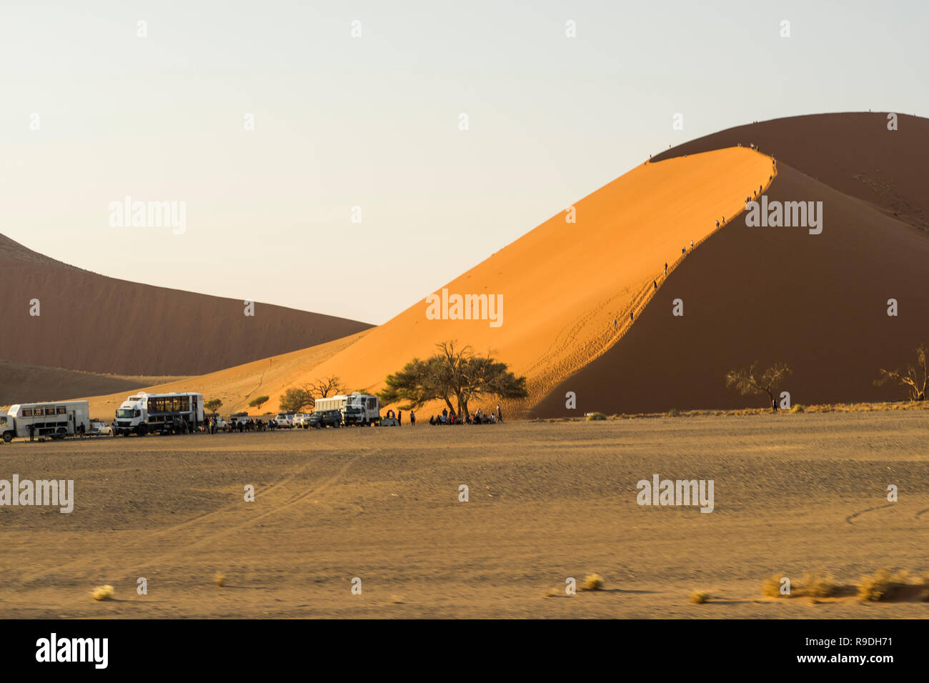 Namibia - Soussusvlei Parco Nazionale , Namib Foto Stock