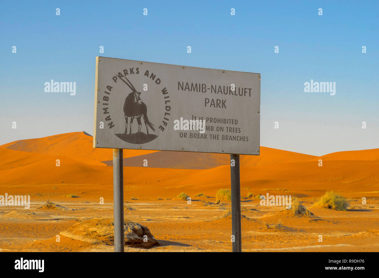 Namibia - Soussusvlei Parco Nazionale , Namib Foto Stock