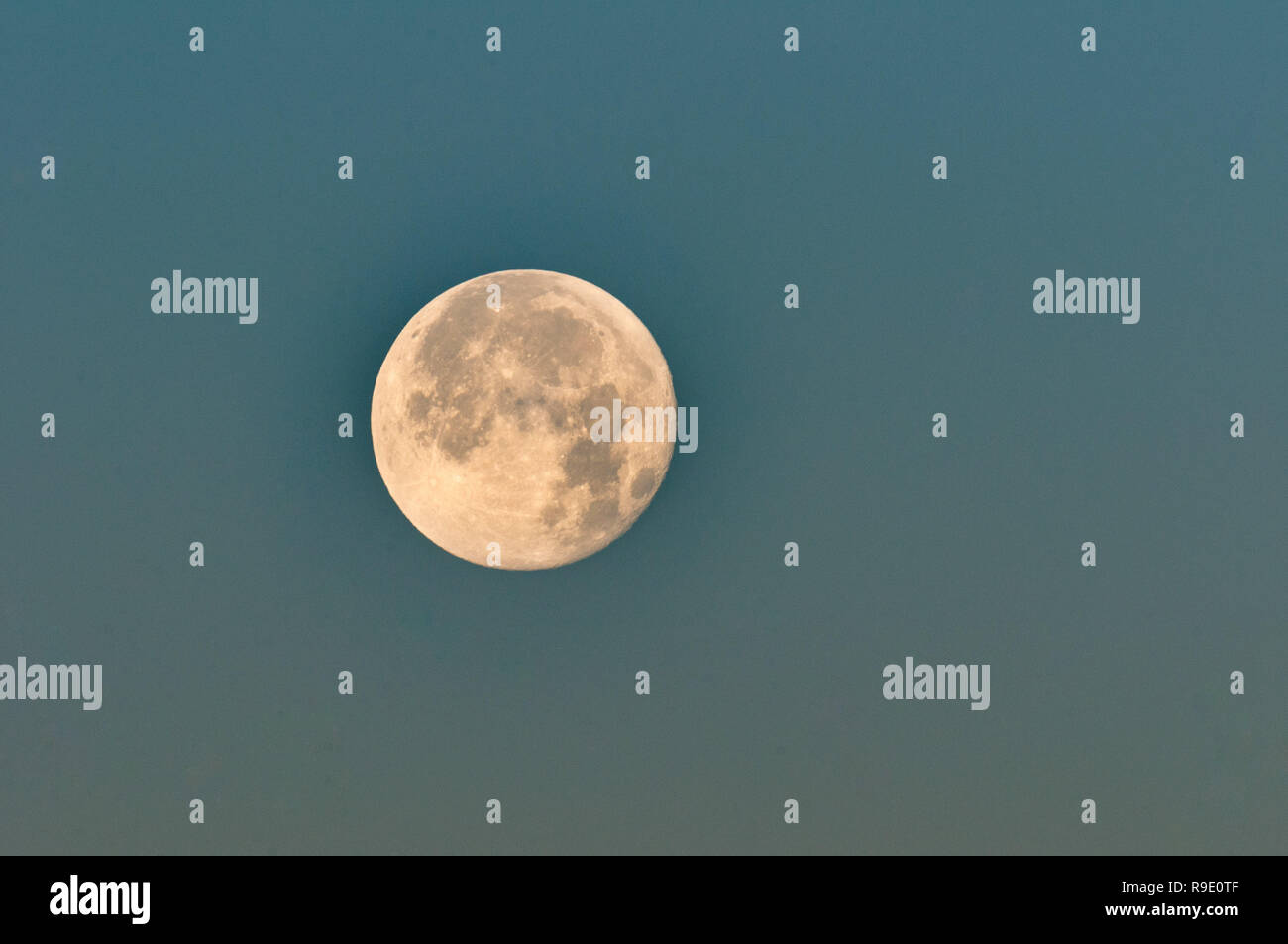 Pinehurst, North Carolina, Stati Uniti d'America. 23 Dic, 2018. Dicembre 23, 2018 - PINEHURST, N.C., STATI UNITI D'AMERICA - calante luna gibbous imposta su Pinehurst Resort. Il dicembre luna piena, che si è verificato a Dic. 22, è spesso chiamato la piena luna fredda secondo il vecchio contadino dell'Almanacco del. È l'ultima luna piena per il 2018. Questo caso celesti ha coinciso un giorno dopo il Solstizio d'inverno. L'abbinamento di questi due eventi un giorno al di là non si verificherà di nuovo fino al 2029. Credito: Timothy L. Hale/ZUMA filo/Alamy Live News Foto Stock