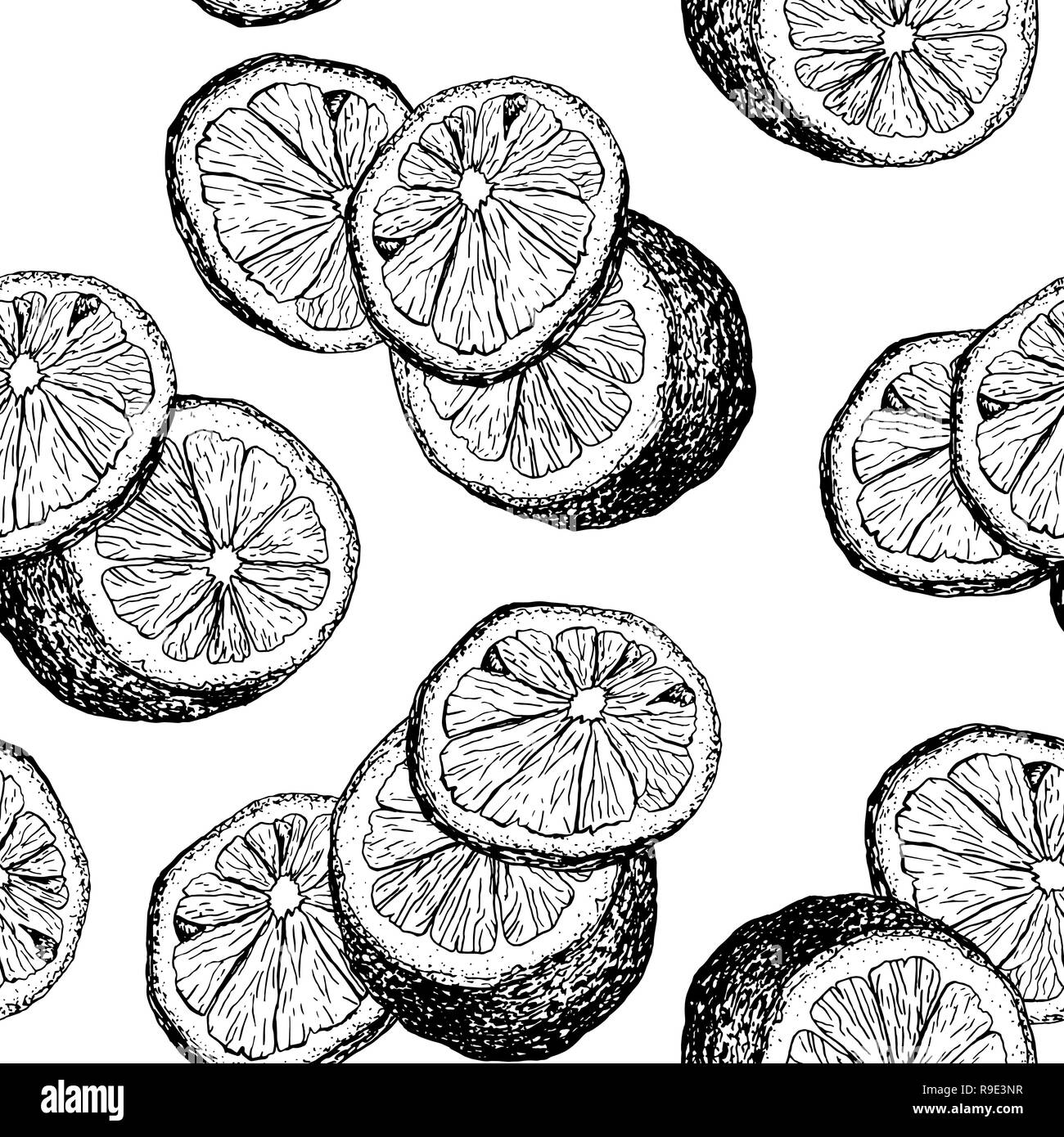 Limoni Freschi Disegnati A Mano Perfetta Configurazione Vettore Agrumi A Fette Penna A Inchiostro Disegno Di