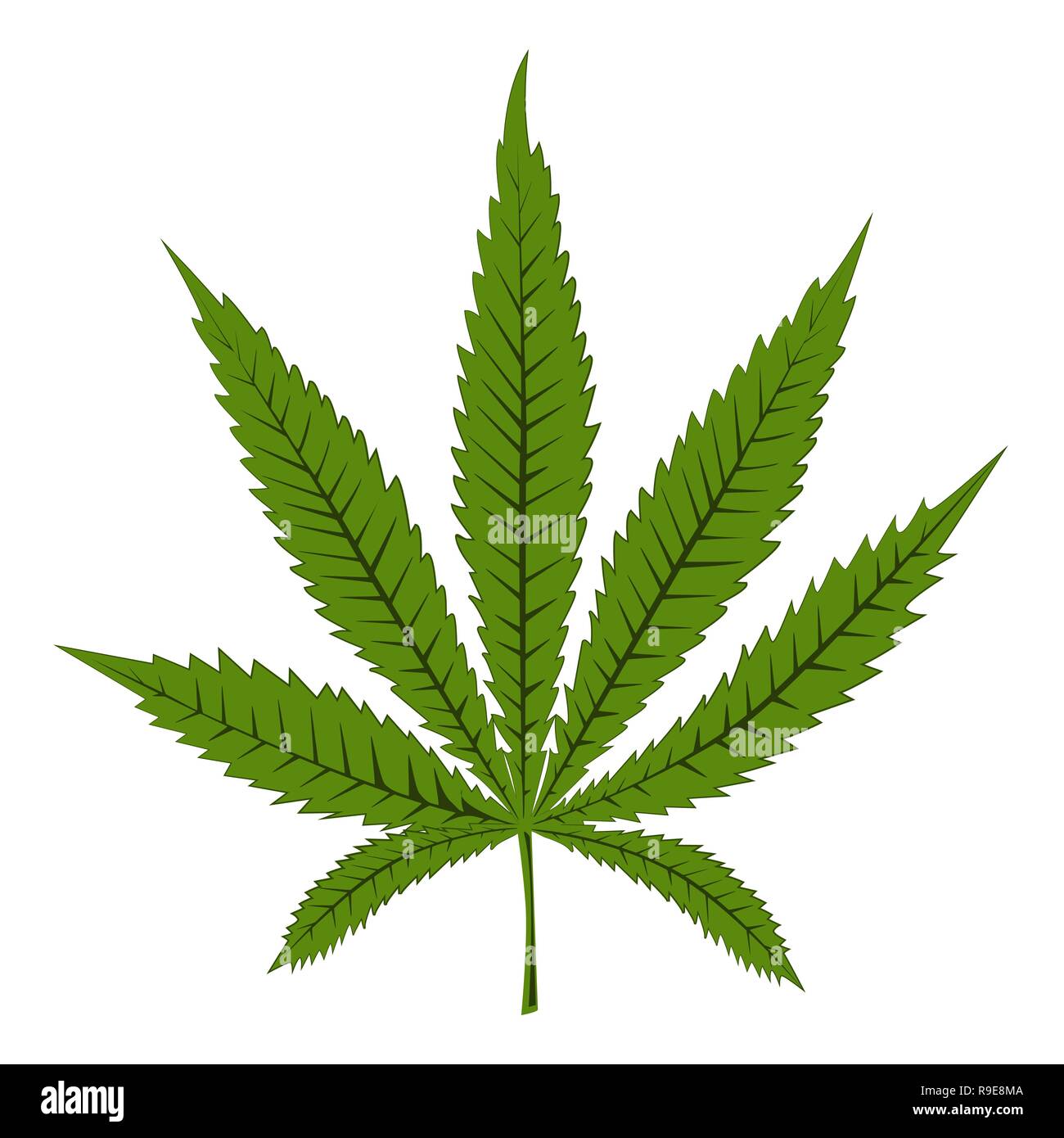 La marijuana, canibas o canapa foglia. Il vettore isolato su sfondo bianco per la canapa proteina, olio, cosmetici, o altri design. Illustrazione Vettoriale