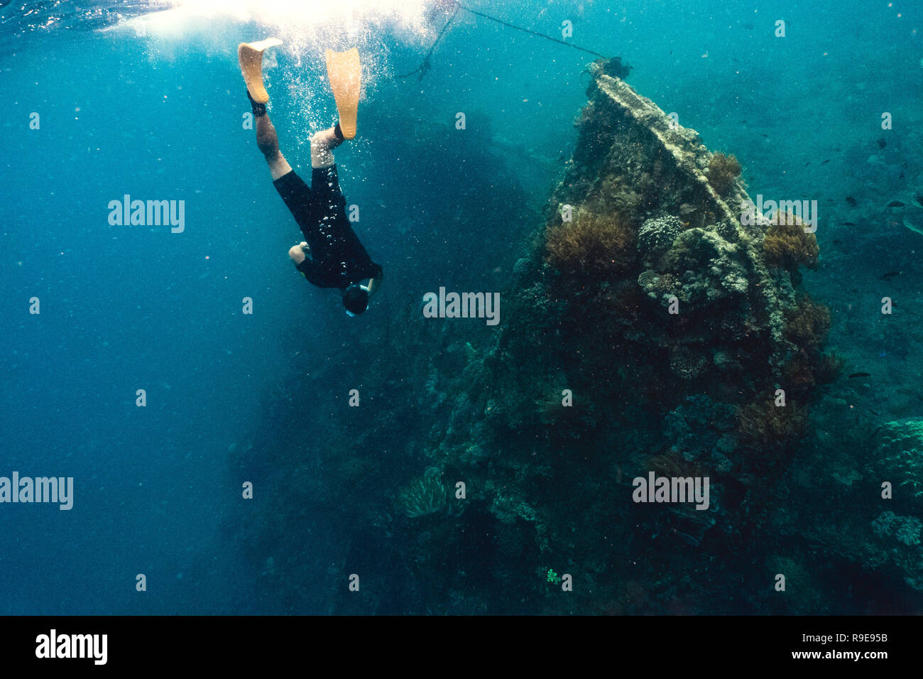 Freediver e barriera corallina con pesce vicino wreckship Foto Stock