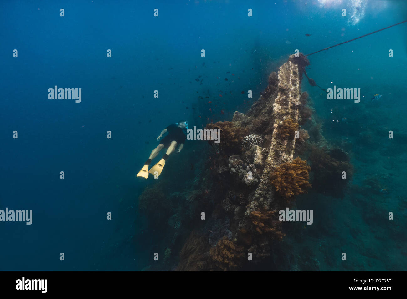 Freediver nuoto alla barriera corallina vicino wreckship Foto Stock