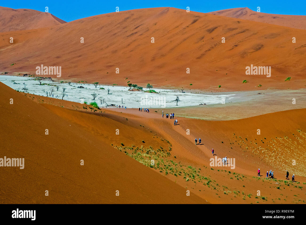 Namibia - Big Daddy am Sossusvlei Parco Nazionale Foto Stock