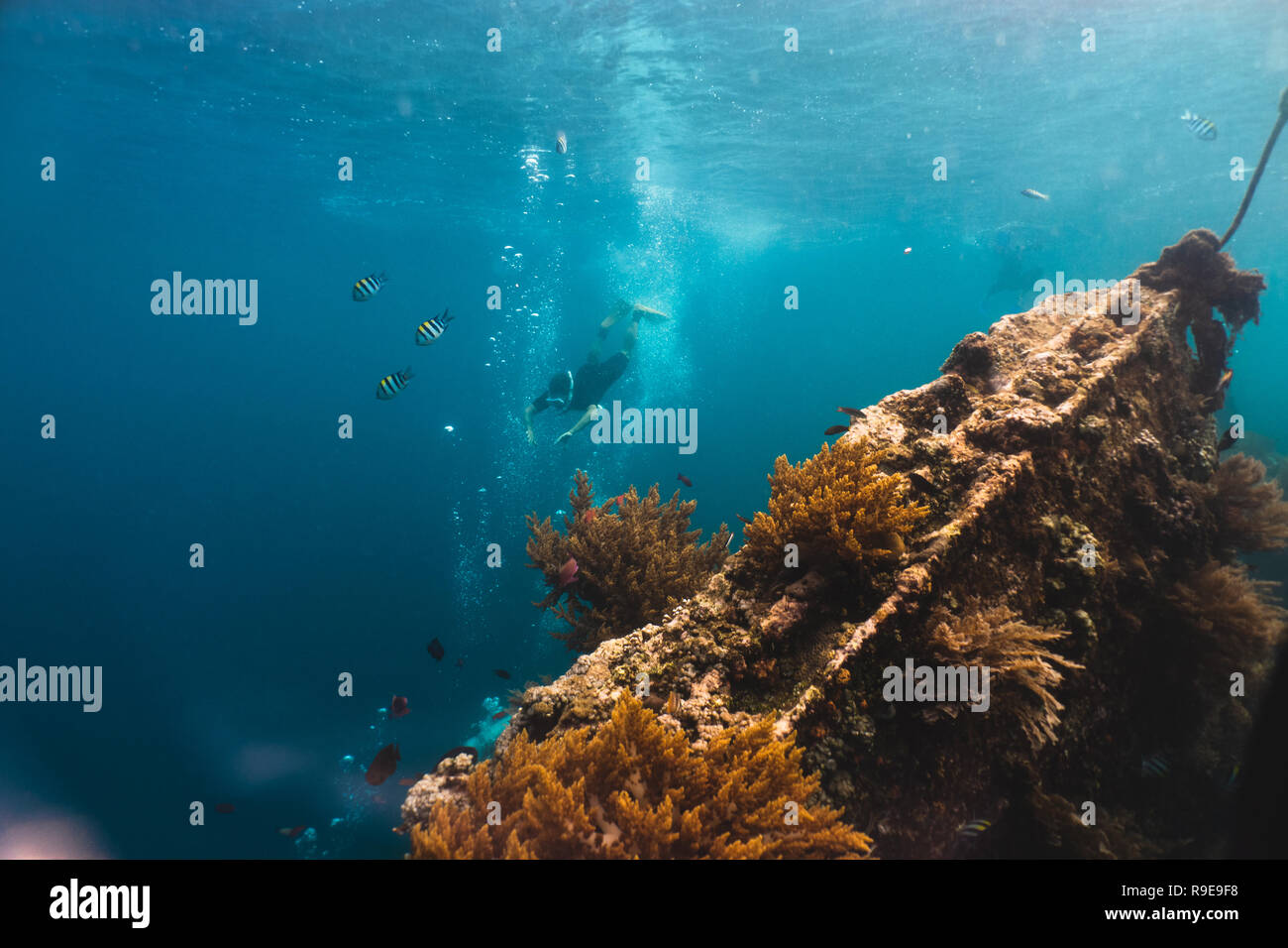 Freediver esplora lo sconfinato mare profondo, vista dal relitto della nave Foto Stock