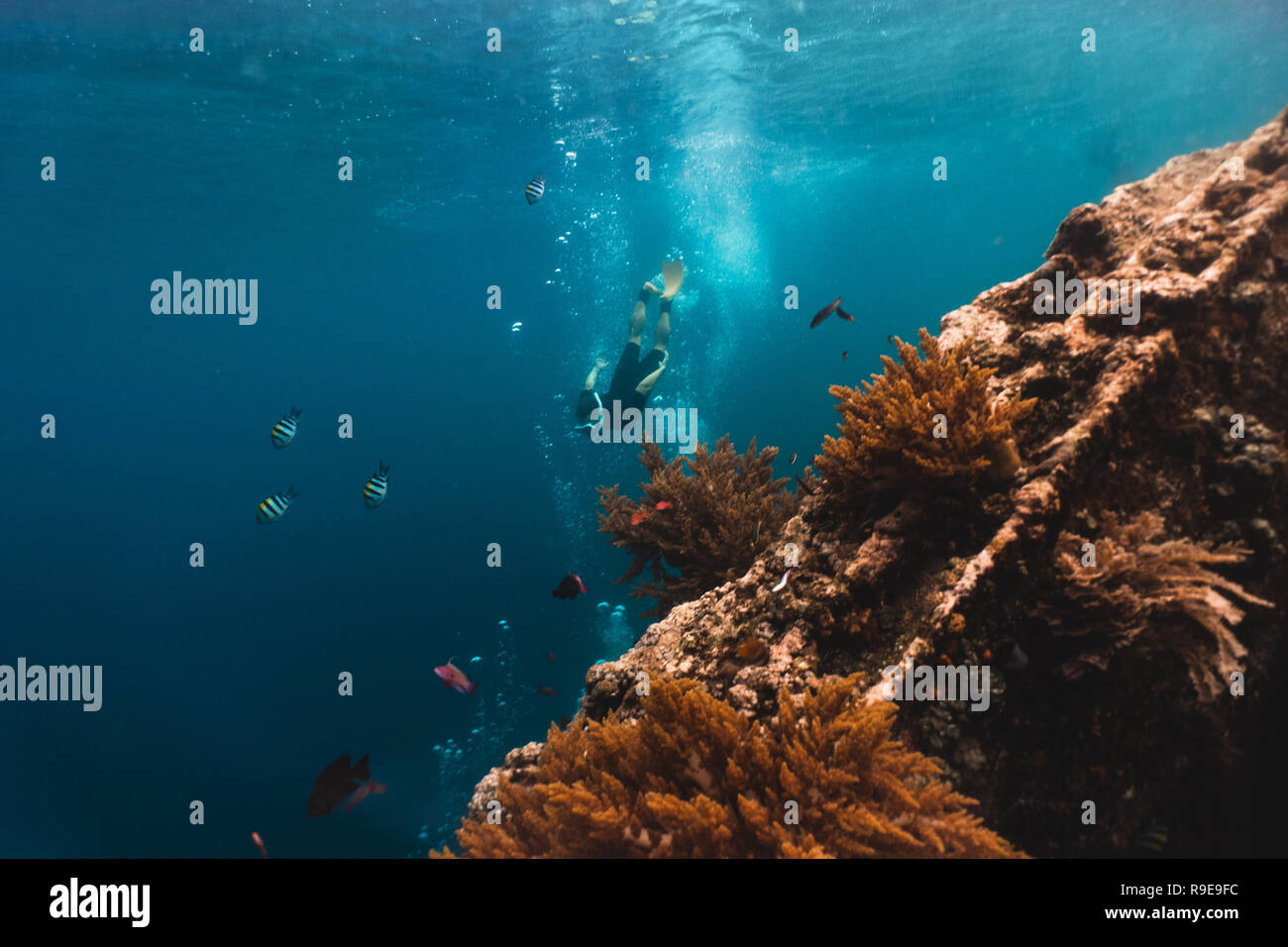 Freediver esplora le profondità del mare, vista dal relitto della nave Foto Stock