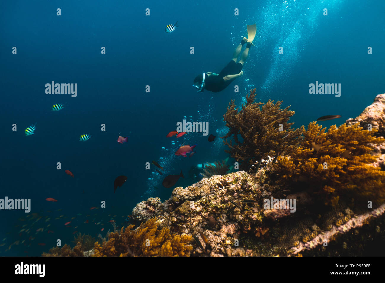 Freediver esplora lo sconfinato mare, vista dal relitto della nave Foto Stock