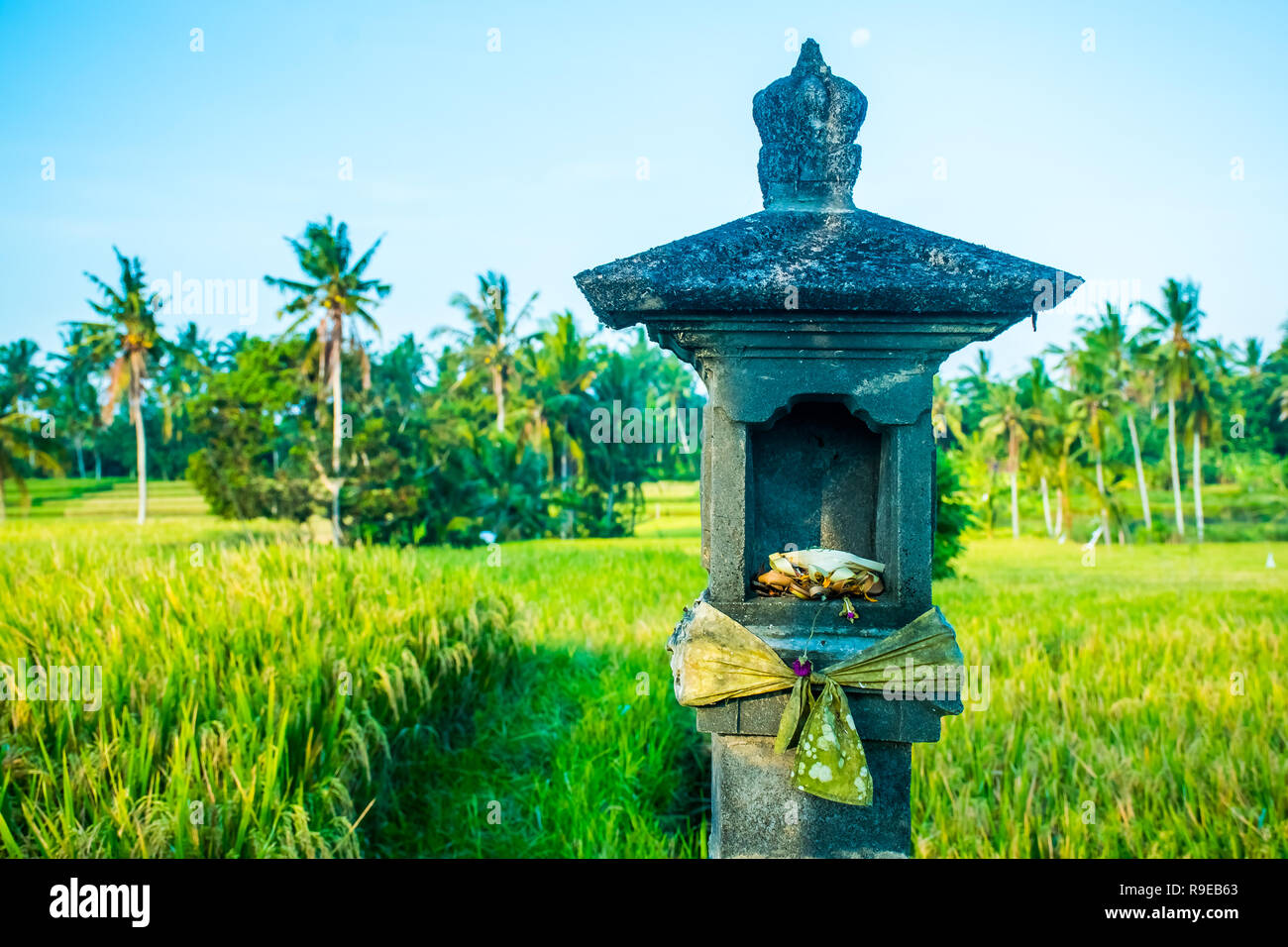 Un indù santuario nel mezzo di un campo di riso nei pressi di Ubud, Bali, Indonesia Foto Stock