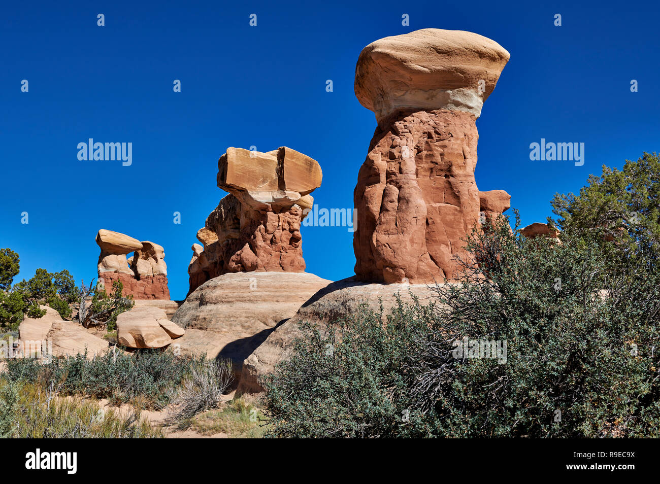 Devils Garden, Grand Staircase-Escalante monumento nazionale, Utah, Stati Uniti d'America, Nord America Devils Garden, Grand Staircase-Escalante monumento nazionale, U Foto Stock