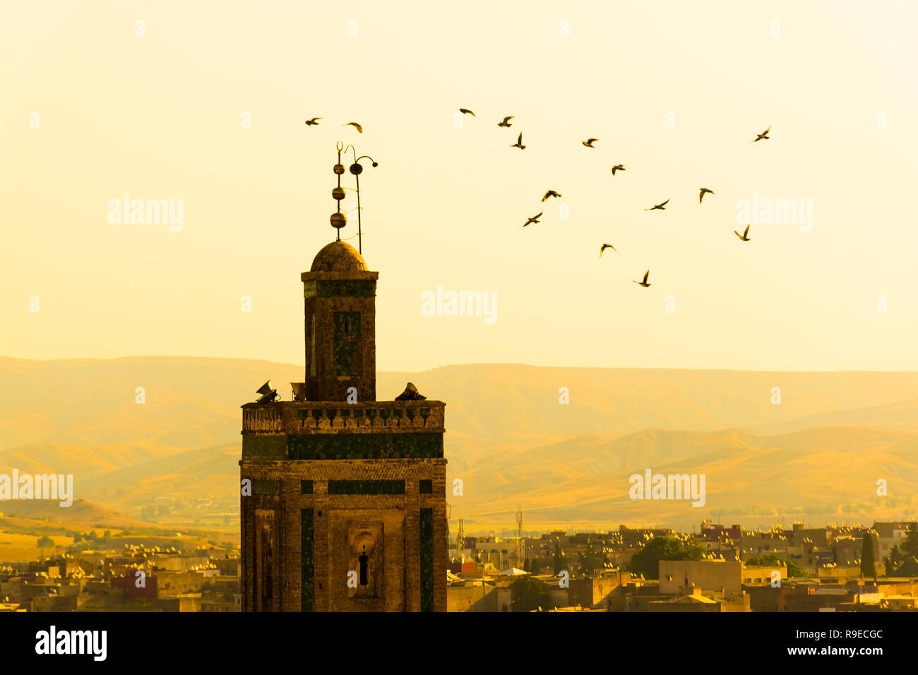 Paesaggio urbano vista sui tetti della più grande medina di Fes, Marocco, Africa Foto Stock