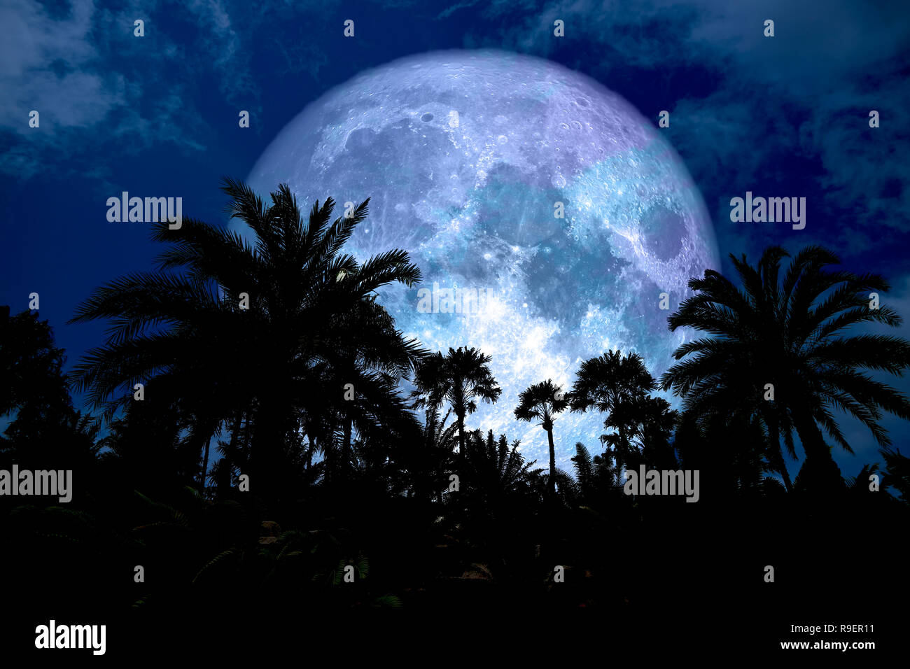 Super blue moon back silhouette nell'antica palm notte cielo blu, gli elementi di questa immagine fornita dalla NASA Foto Stock