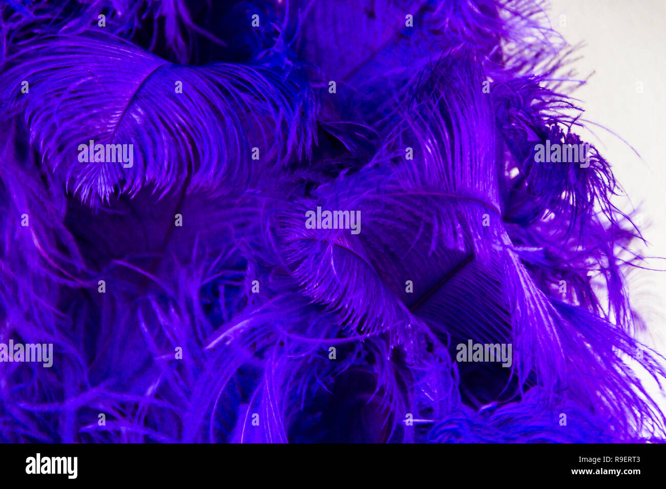 Con sfondo colorato carnevale piume texture Foto Stock