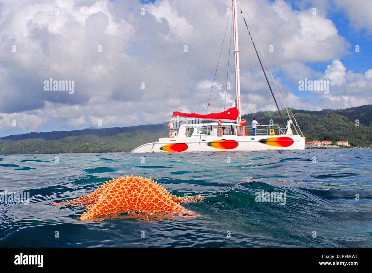 Karibik - Barca a vela in Samana Foto Stock