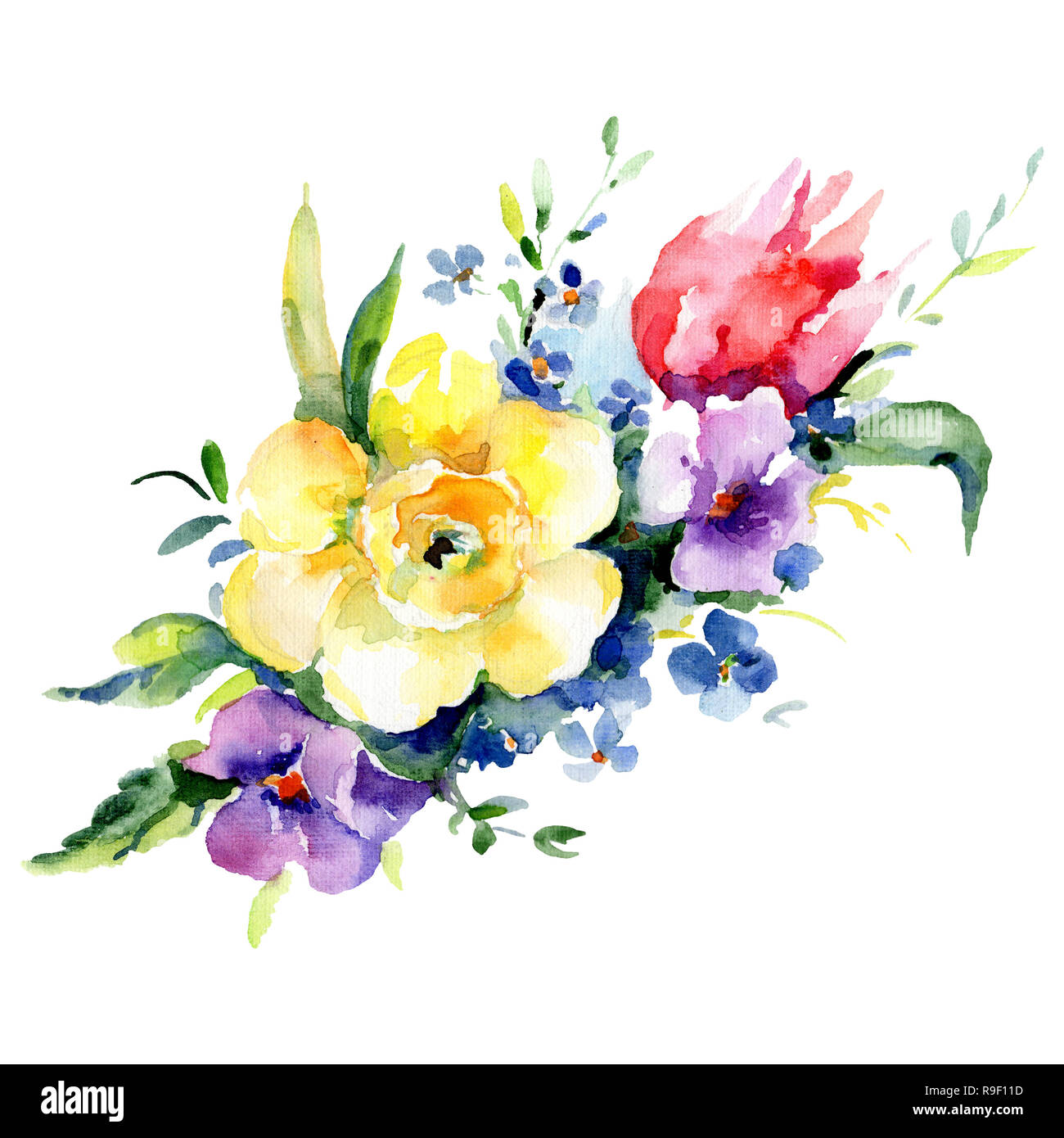 Porpora e giallo botanico floreale bouquet di fiori. Acquerello set di  sfondo. Bouquet isolato illustrazione elemento Foto stock - Alamy