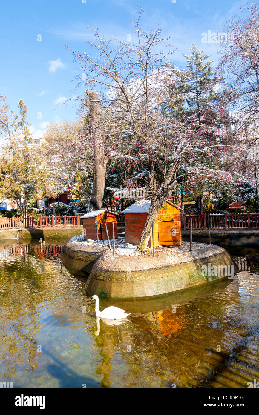 Ankara, Turchia - 13 dicembre 2018: Parco di Kugulu è un luogo popolare per godersi la giornata e mangimi bird. Foto Stock