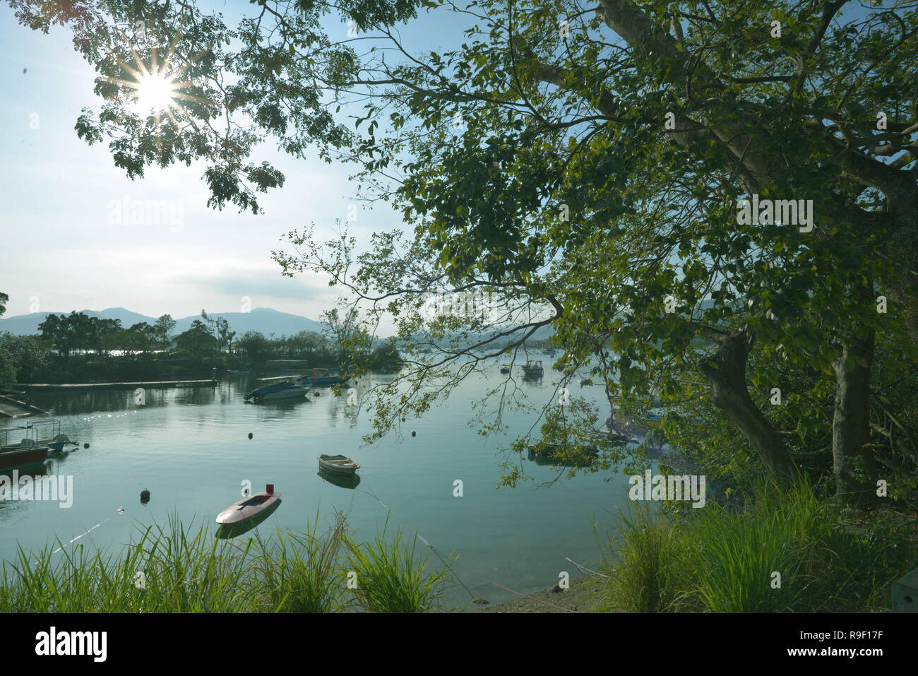 Barche in Tai Mei Tuk, Tai Po, Hong Kong Foto Stock