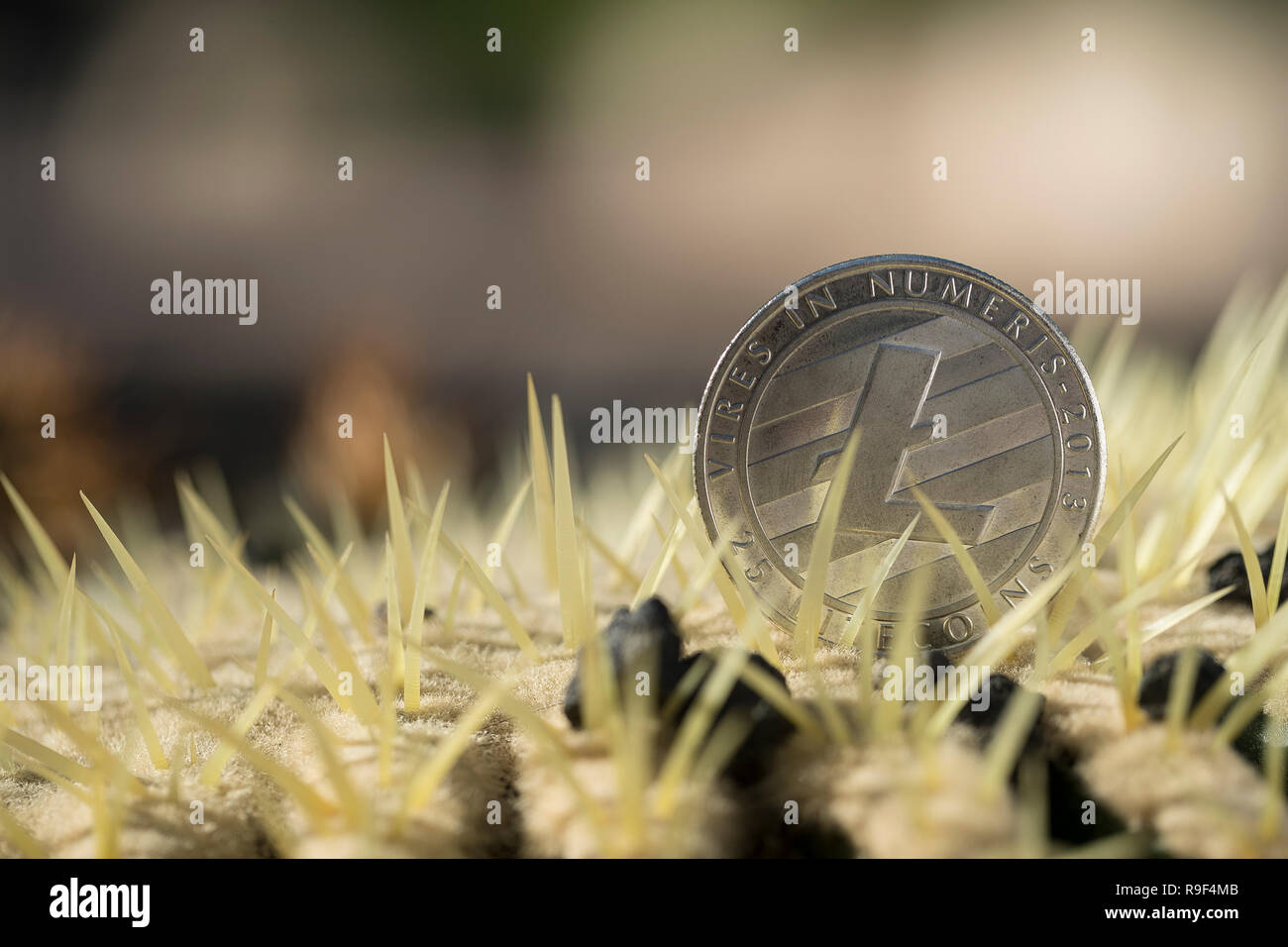 Litecoin cryptocurrency moneta fisica collocati tra i picchi di cactus Foto Stock