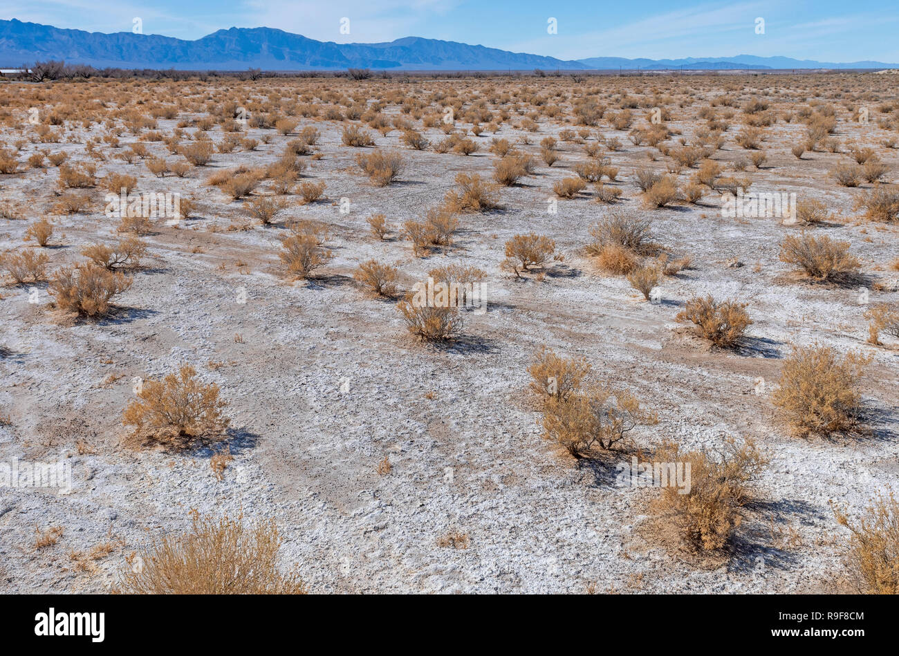 Saline in una vallata desertica in prati di cenere National Wildlife Refuge in Nevada Foto Stock