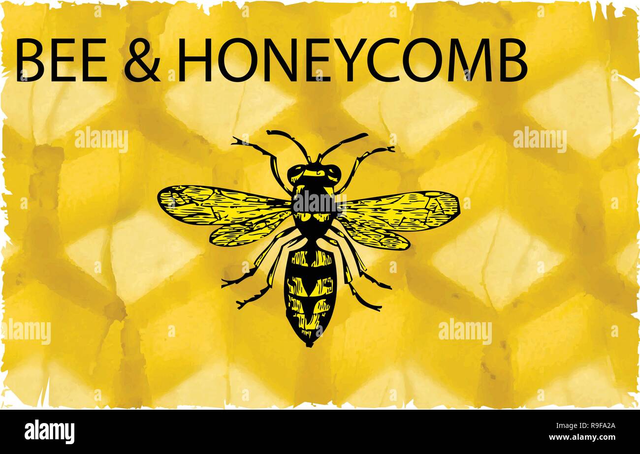 Celle di cera con il dolce miele delle api,vettore - nido isolato su bianco bavkground,le api ed il miele Vettore, lavorando le api sul favo di miele,Bumble Bee Miele Clip Illustrazione Vettoriale