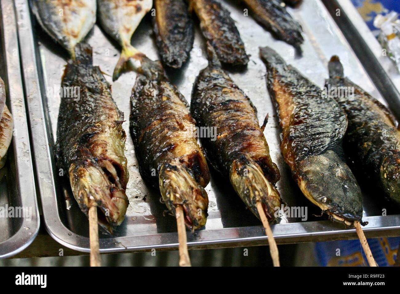 Grigliata di testa di serpente Pesce su bastoni venduti come cibo di strada spuntini in un mercato di pesce in Cambogia Foto Stock