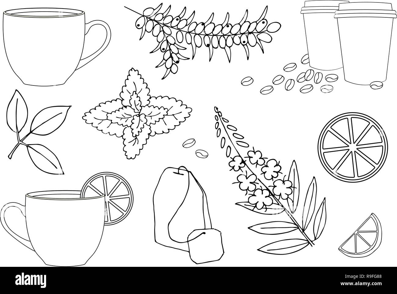 Tazza di tè caldo, una tazza di tè alle erbe. Varie erbe ingredienti tè raccolta su sfondo bianco. Illustrazione Vettoriale set. Illustrazione Vettoriale