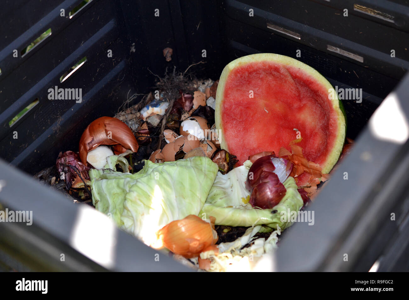 All'interno di un compost Bin Foto Stock