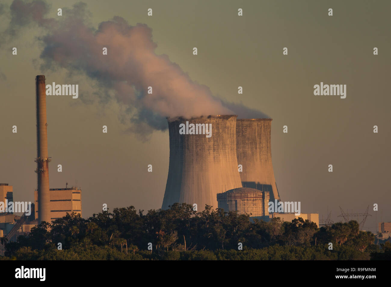 Una vista attraverso la palude salata zone umide della Duke Energy Crystal River complesso su un 4.700 acri vicino alla bocca del fiume di cristallo in Florida Foto Stock