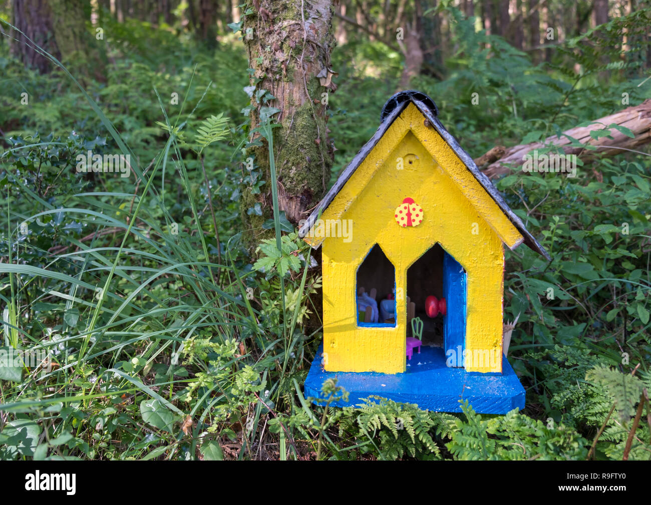 Giallo casa di fata lungo un percorso sulla costa dell'Irlanda. Casa è giallo con porta blu in una verde e lussureggiante foresta. Foto Stock
