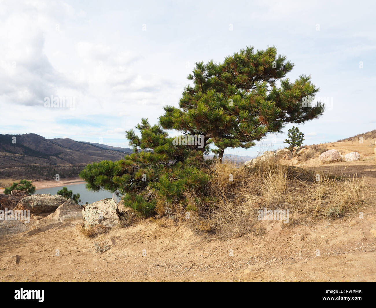 Serbatoio Horsetooh in Fort Collins Foto Stock