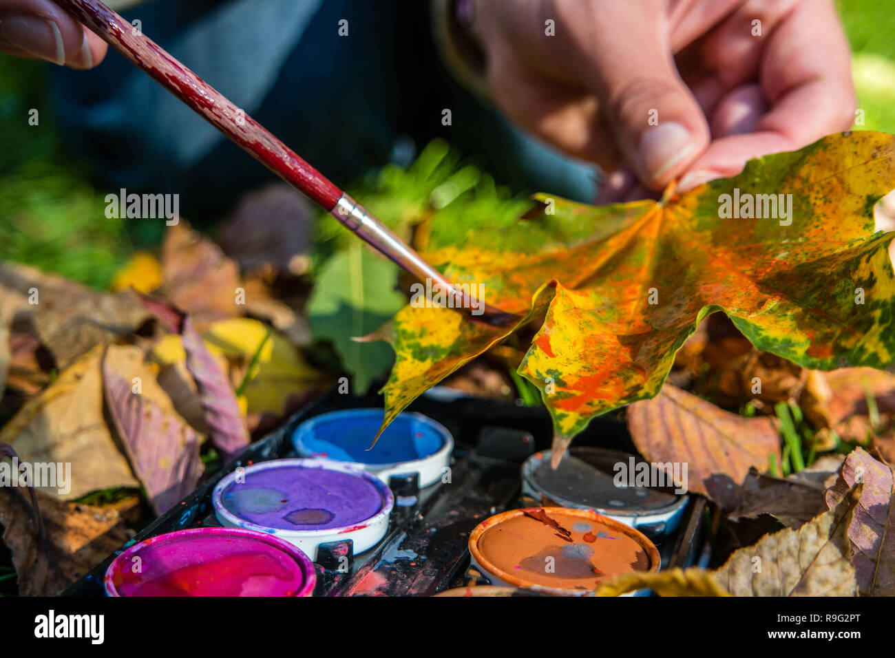 Foglia di acero pittura artigianato kindergarten Foto Stock