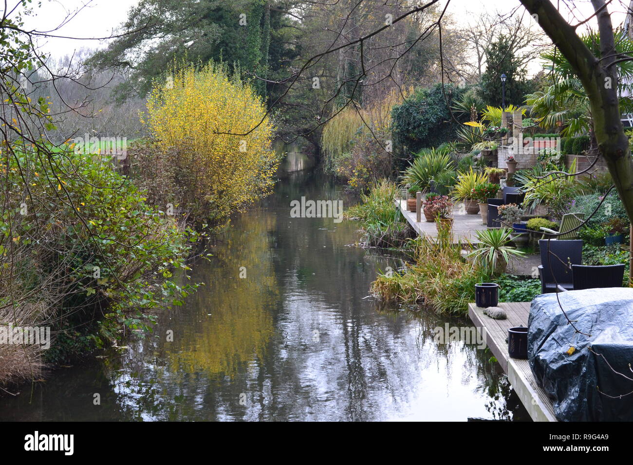 Attraversando il fiume Darenth (talvolta Darent farro), una trota torrente, vicino Mill Lane a Shoreham, Kent. Incantevoli giardini dal fiume. I primi di dicembre. Foto Stock