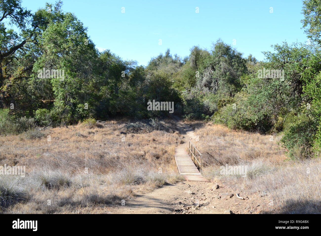 Autentica la California del sud paesaggio di Santa Rosa Plateau parco ecologico, Riverside County, vicino a Temecula. Una zona di montane chaparral. La fauna selvatica Foto Stock